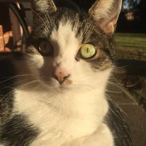 Meet your Posher, Lynn